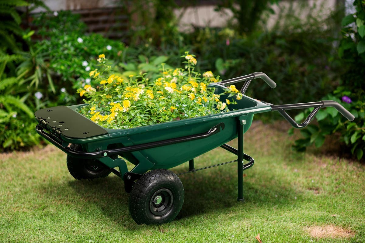 Buy 8in1 Garden Trolley, Wheelbarrow, Cart and Dolly at Mighty Ape NZ
