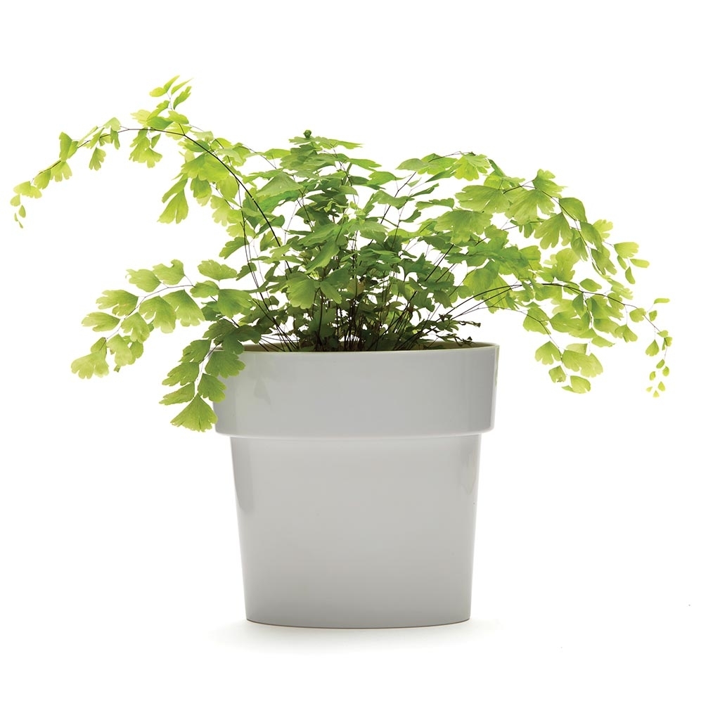 Monkey Business: Slim Flower Pot (Grey) image