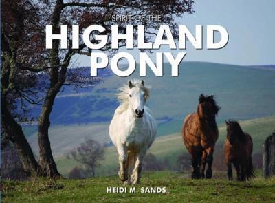 Spirit of the Highland Pony on Hardback by Heidi M. Sands