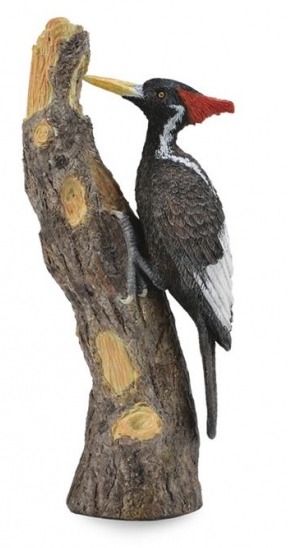 CollectA - Ivory-Billed Woodpecker