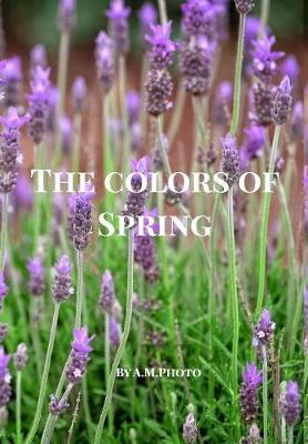 The Colors of Spring by Am Photo image
