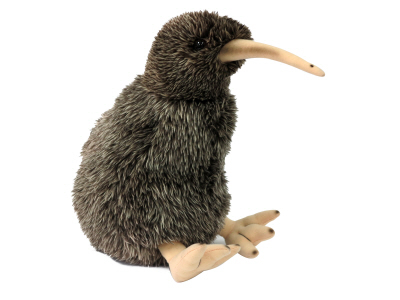 Spotted Kiwi with sound X Large image