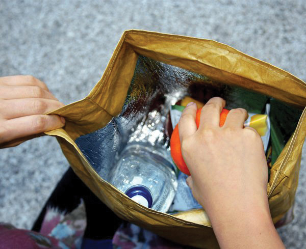 Brown Paper Bag Lunch Bag image