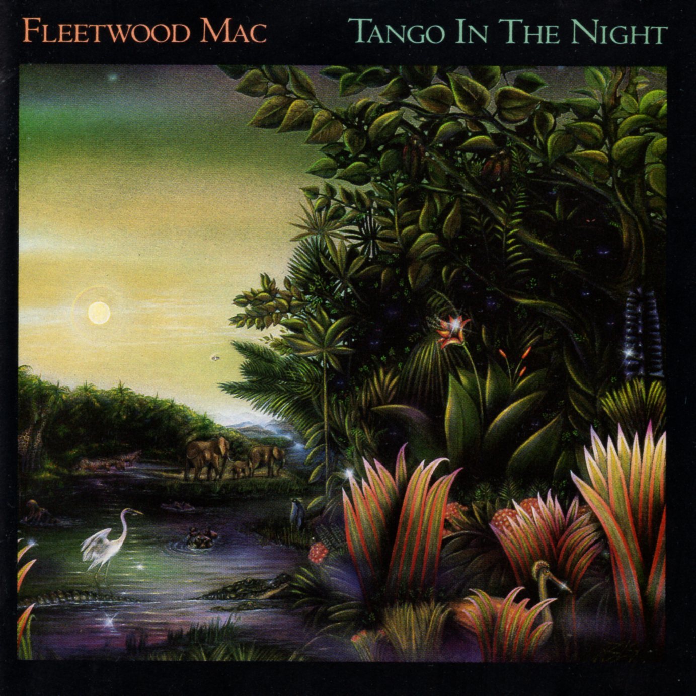 Fleetwood Mac - Tango In The Night on image