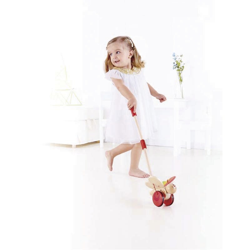 Hape: Push Pal - Butterfly image
