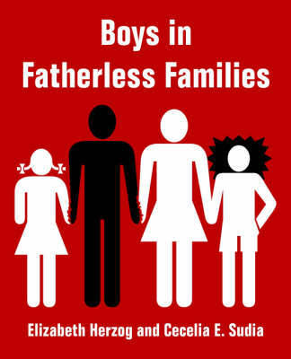 Boys in Fatherless Families by Elizabeth Herzog image