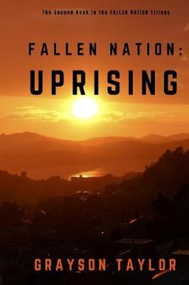 Fallen Nation by Grayson Taylor image