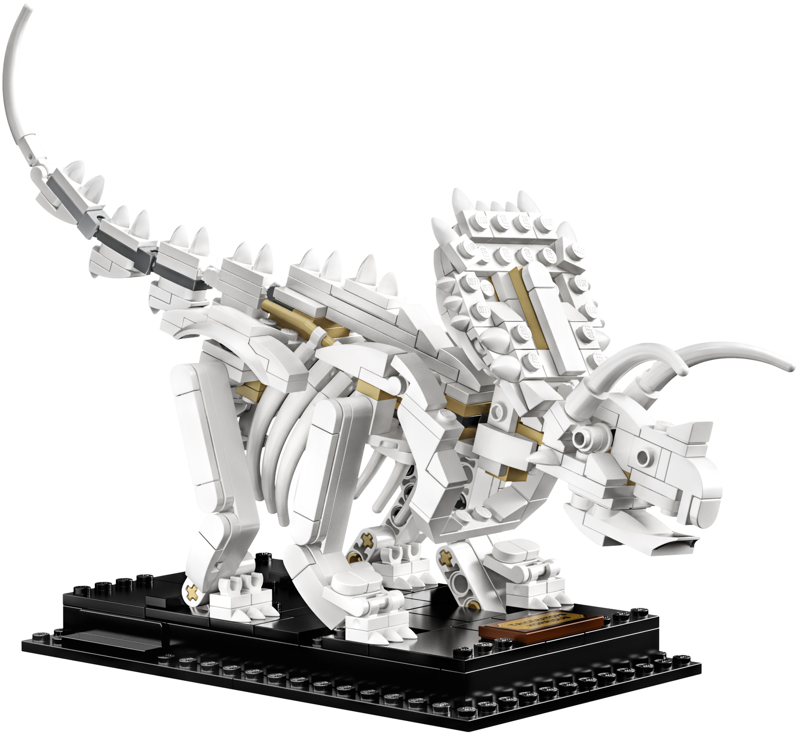 LEGO Ideas - Dinosaur Fossils image