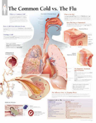Common Cold Vs the Flu by Scientific Publishing image