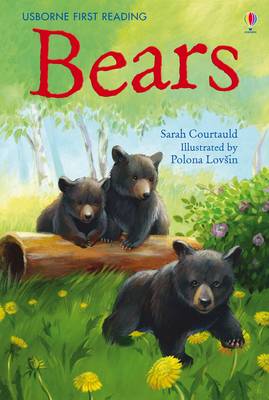 Bears on Hardback by Sarah Courtauld