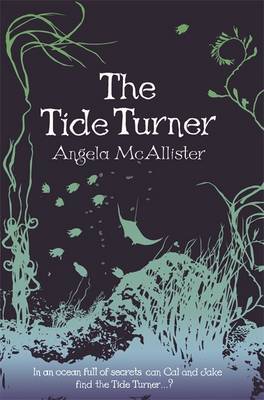 The Tide Turner by Angela McAllister image