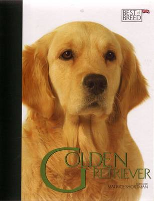 Golden Retriever image