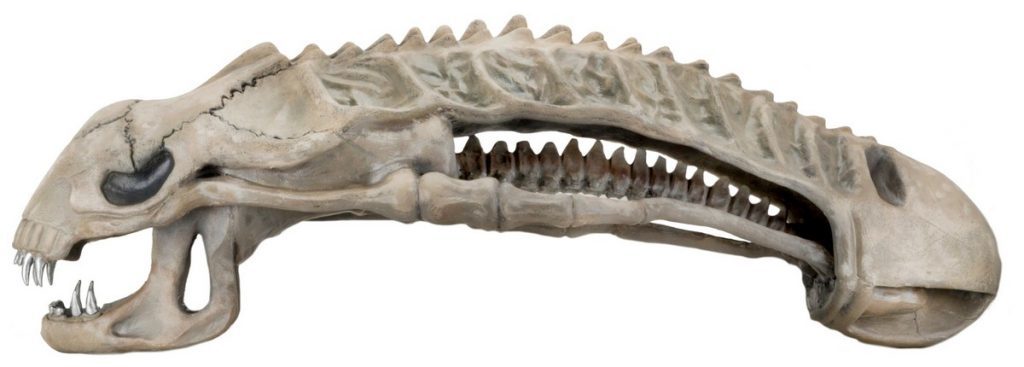 Aliens: Xenomorph Skull - 36" Foam Replica image