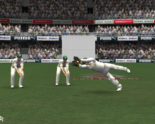 Cricket 07 image