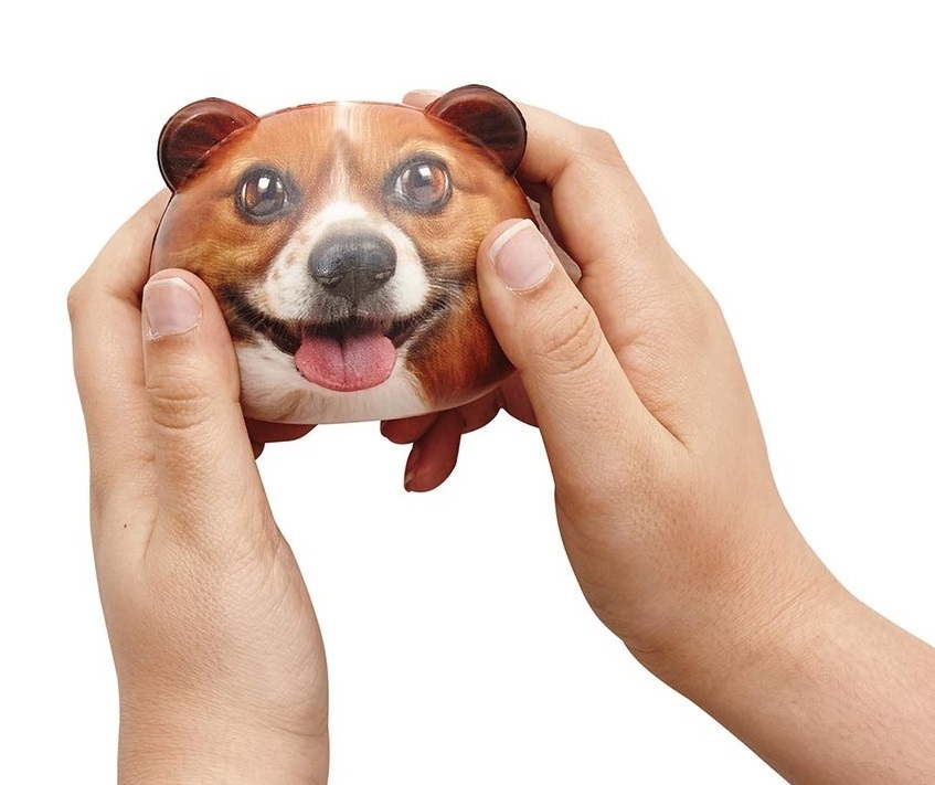 Buy Feeling Ruff? Dog Stress Ball at Mighty Ape NZ
