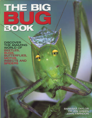 The Big Bug Book by Jen Green image