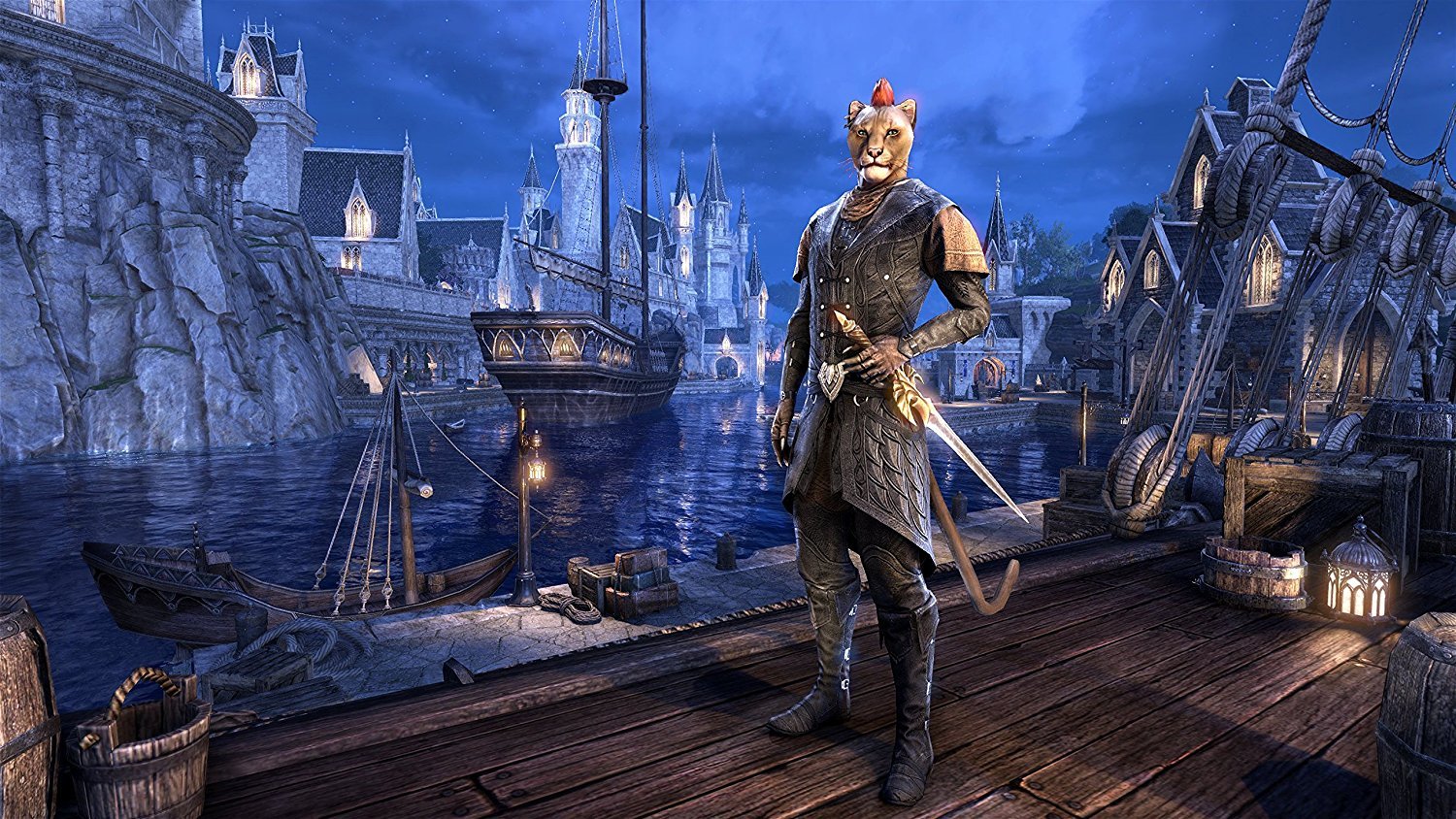 Elder Scrolls Online: Summerset on PS4