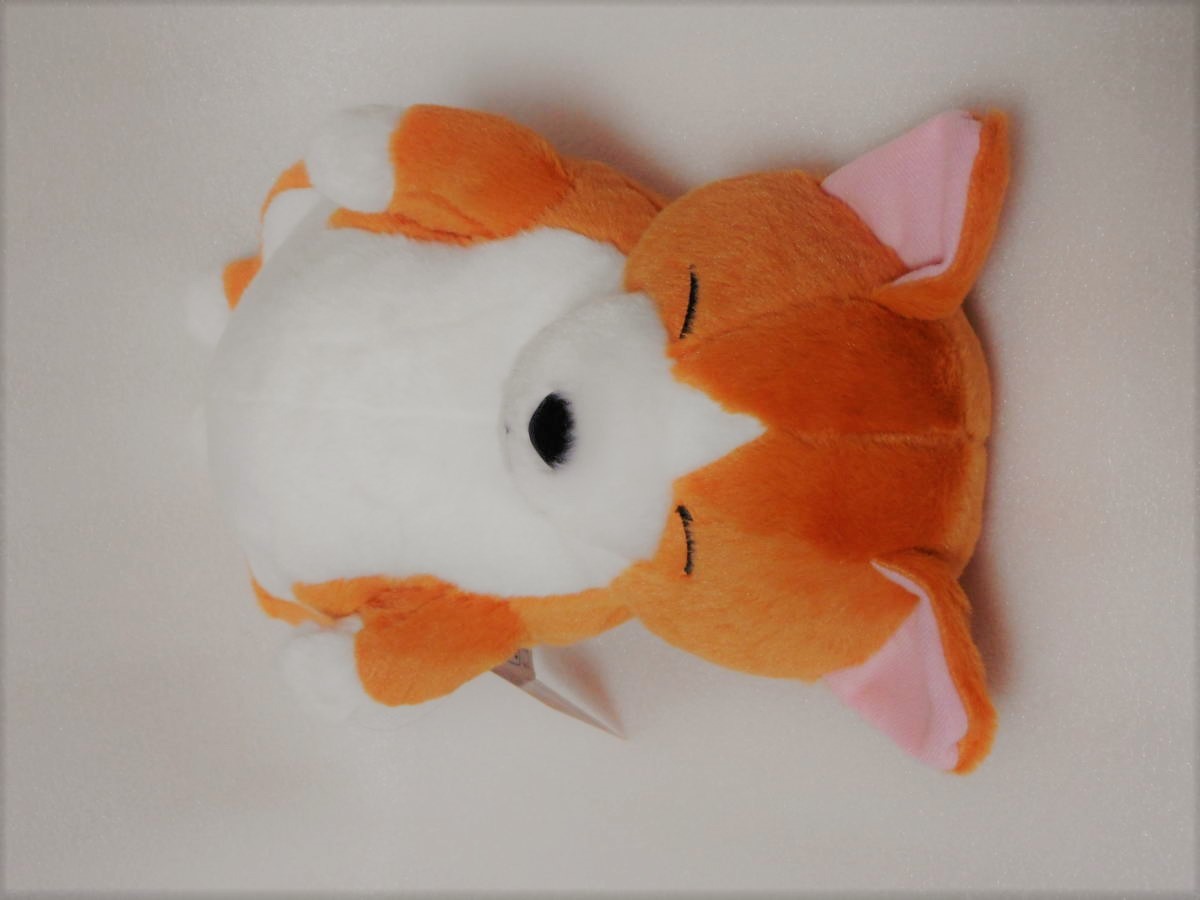 Zoo Zoo Zoo Sleeping Animal Big Plush -Shiba Inu - image