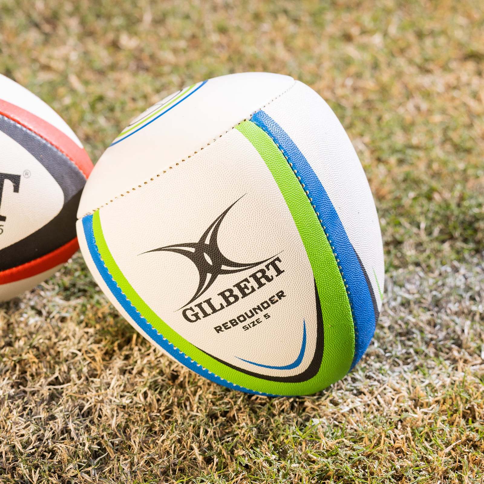 Buy Gilbert Rebounder Rugby Ball at Mighty Ape NZ