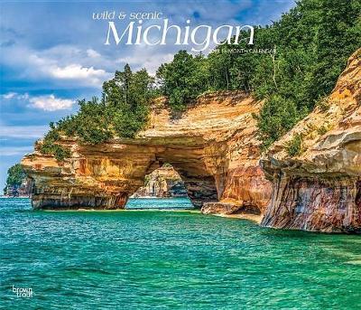 Michigan Wild & Scenic 2019 Deluxe by Inc Browntrout Publishers image