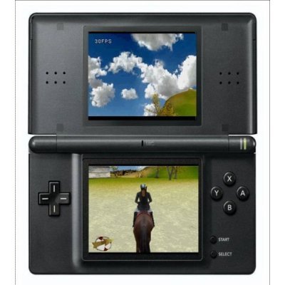 Real Adventures: Wild Horses for DS image