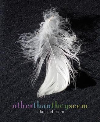 Other Than They Seem: Poems by Allan Peterson image