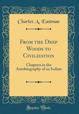 From the Deep Woods to Civilization by Charles A Eastman image