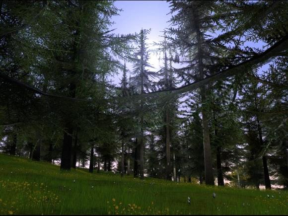 Deer Hunter: The 2005 Season for PC Games image