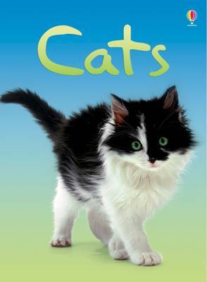 Cats by Anna Milbourne image