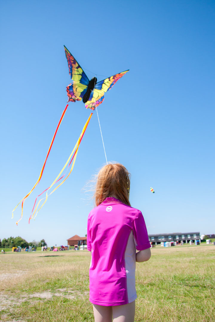 Buy Large Swallowtail 51" Butterfly Kite at Mighty Ape NZ