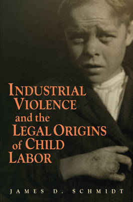 Industrial Violence and the Legal Origins of Child Labor on Hardback by James D. Schmidt