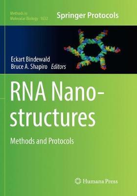 RNA Nanostructures image