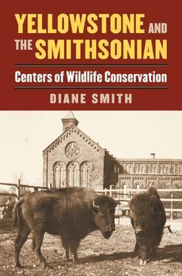 Yellowstone and the Smithsonian by Diane Smith image