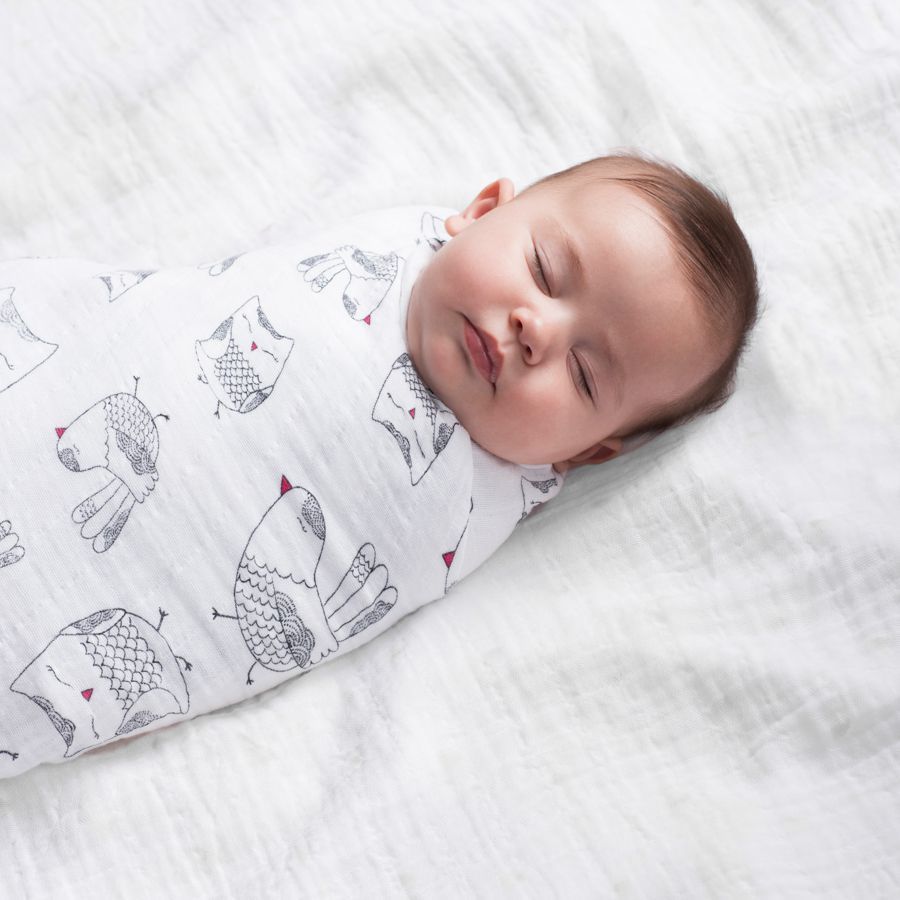 Aden + Anais: Classic Swaddle - Lovebird (4 Pack Swaddling Wraps) image