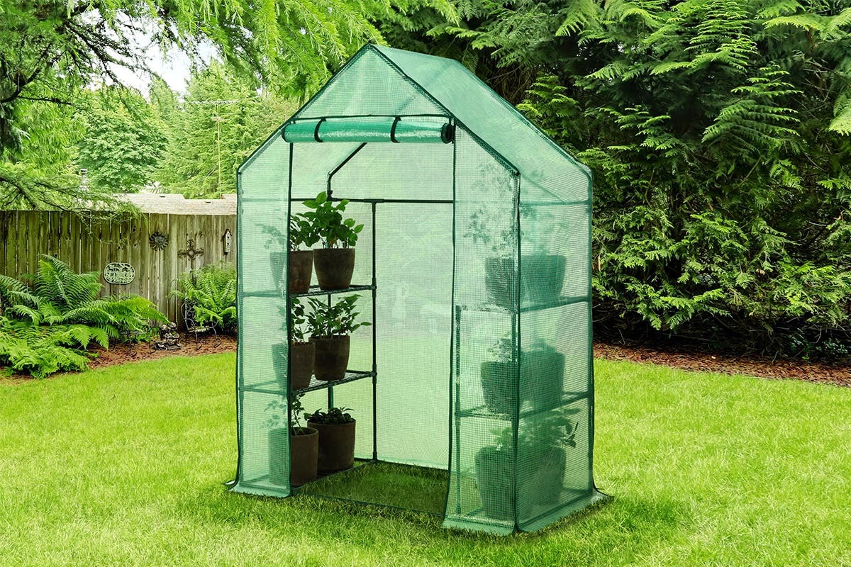 Ape Basics Walk-In Greenhouse