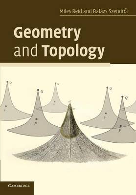 Geometry and Topology by Miles Reid image