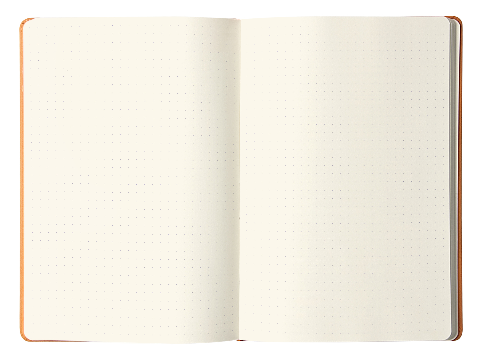Rhodia Webnotebook A5 Dot Grid (Orange) image