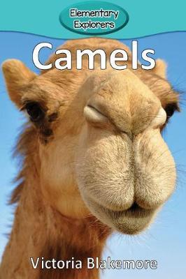 Camels by Victoria Blakemore image