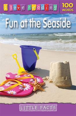 Little Facts 100 Words: Fun at the Seaside image