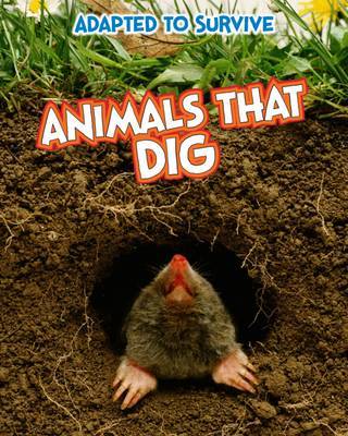 Adapted to Survive: Animals that Dig by Angela Royston image