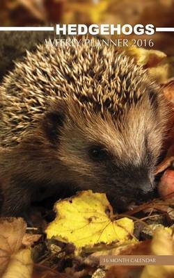 Hedgehogs Weekly Planner 2016: 16 Month Calendar by Jack Smith image
