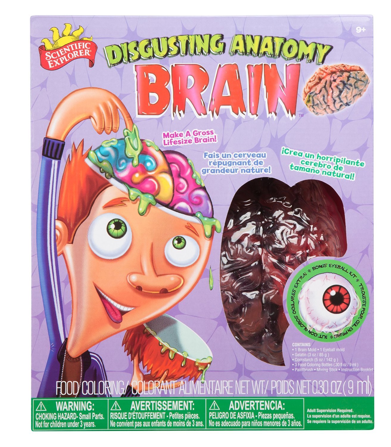 Scientific Explorer: Disgusting Anatomy - Brain Science Kit image