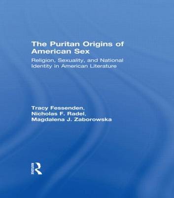 The Puritan Origins of American Sex image