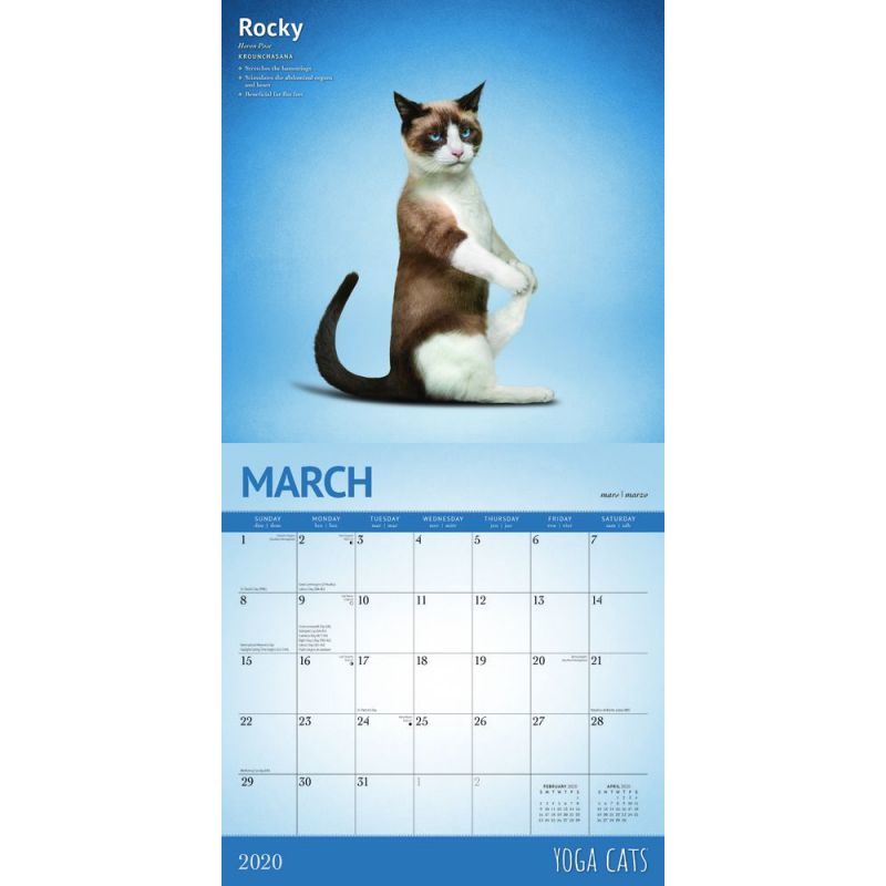 Yoga Cats 2020 Square Wall Calendar image