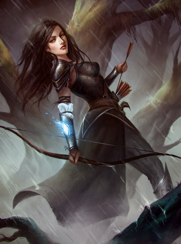 Sherwoods Legacy - Board Game image