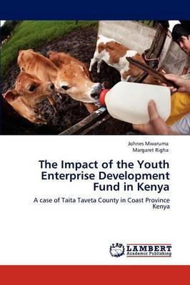 The Impact of the Youth Enterprise Development Fund in Kenya by Johnes Mwaruma image