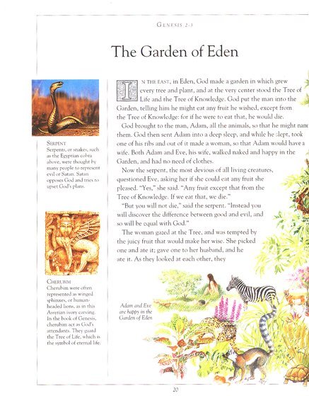 The Children's Illustrated Bible (small) by Selina Hastings image