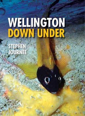 Wellington Down Under by Stephen Journee image