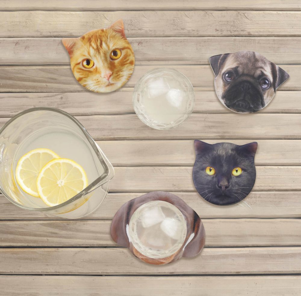 Splosh Kitty Ceramic Coaster - Max image