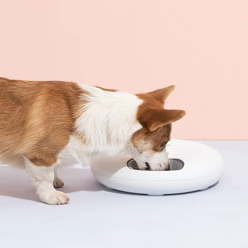 Smart Automatic Pet Feeder 6-Grid 180ml (White) image